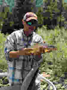 Bill Matthews Outdoors