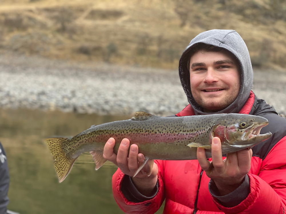 Salmon River Idaho Steelhead