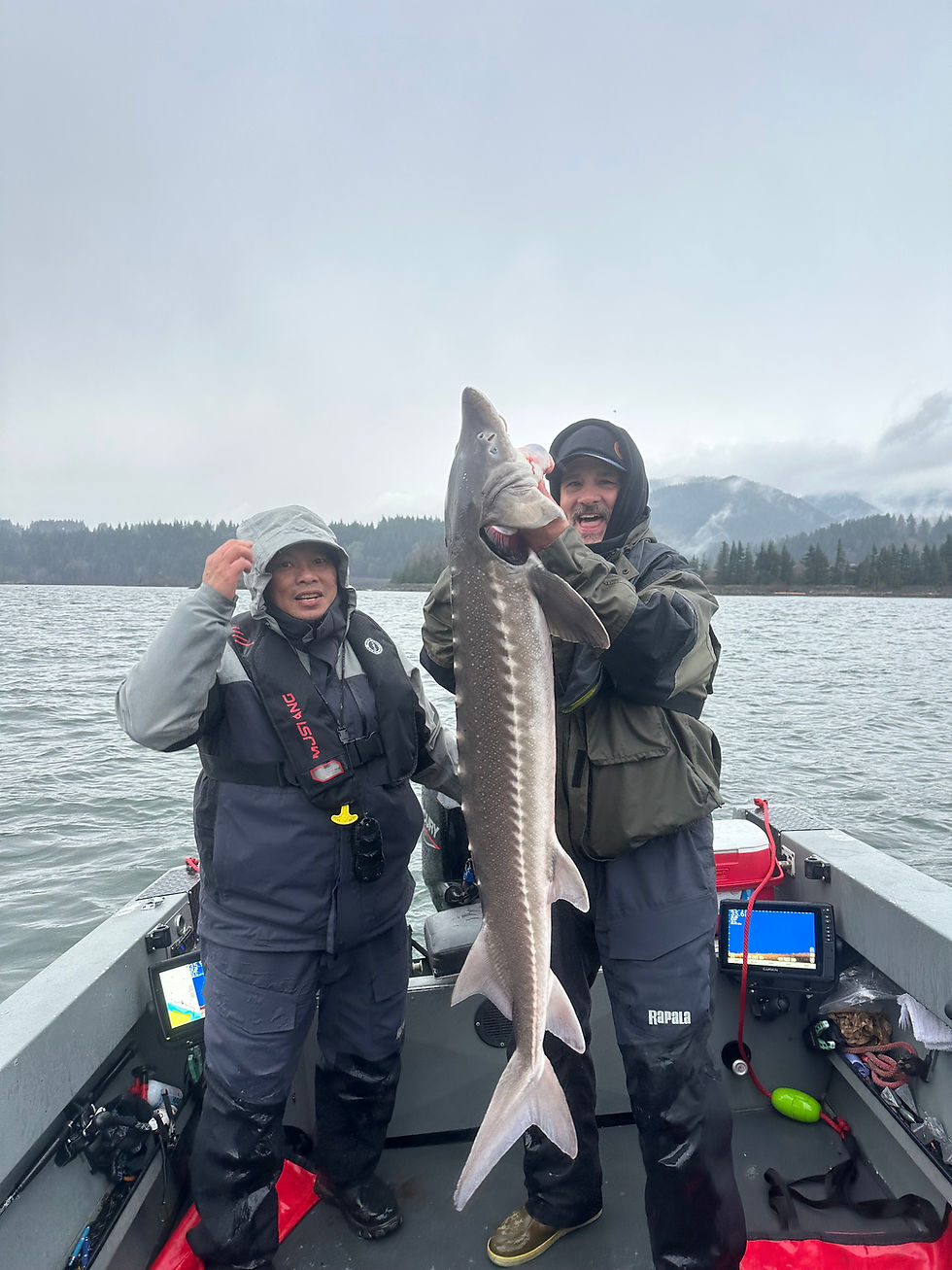 Columbia River Sturgeon!