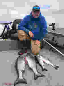 Seattle Salmon Triple Play, Seattle Humpy Salmon, Bill Matthews Outdoors