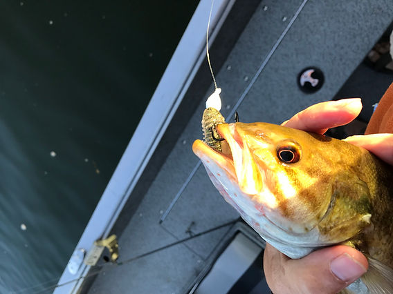 american fly reel manufacturers Meet the First American-Made Fly Reel Under $300