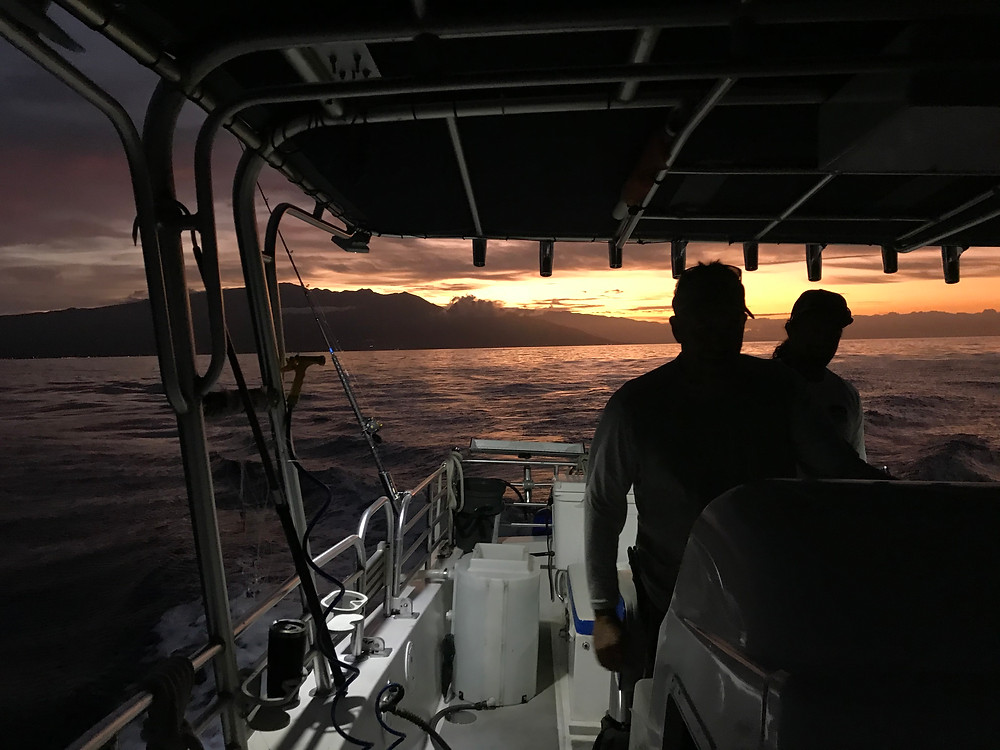 Sunrise in Maui Hawaii