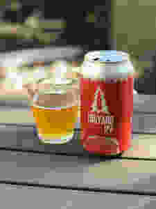 BMO Beer tasting