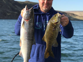Salmon & Smallmouth in the same day!