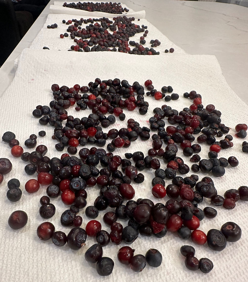 Clean and dry your Huckleberries