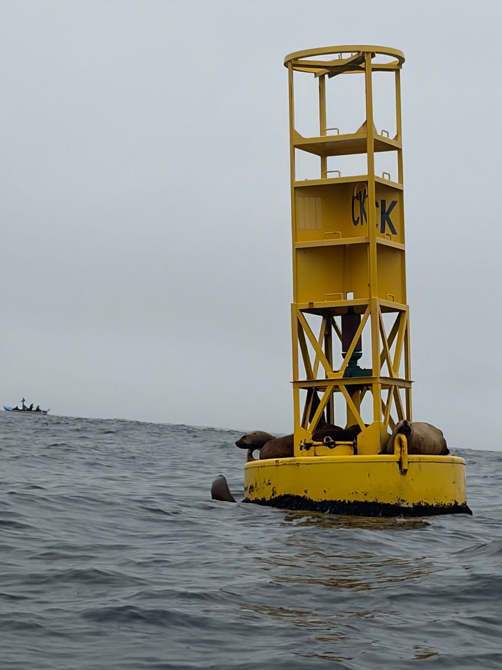 Sea lions rest on a yellow ocean buoy , with a small boat in the distance under a gray sky.