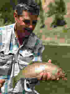 Bill Matthews Outdoors