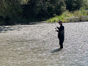 Late Summer Salmon