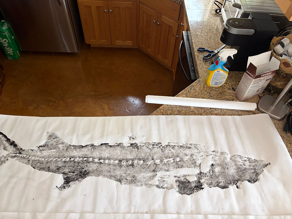 BMO Sturgeon Fish Print