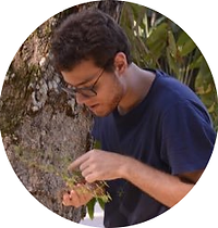 Colli-Silva.png