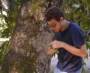 Colli-Silva.jpg