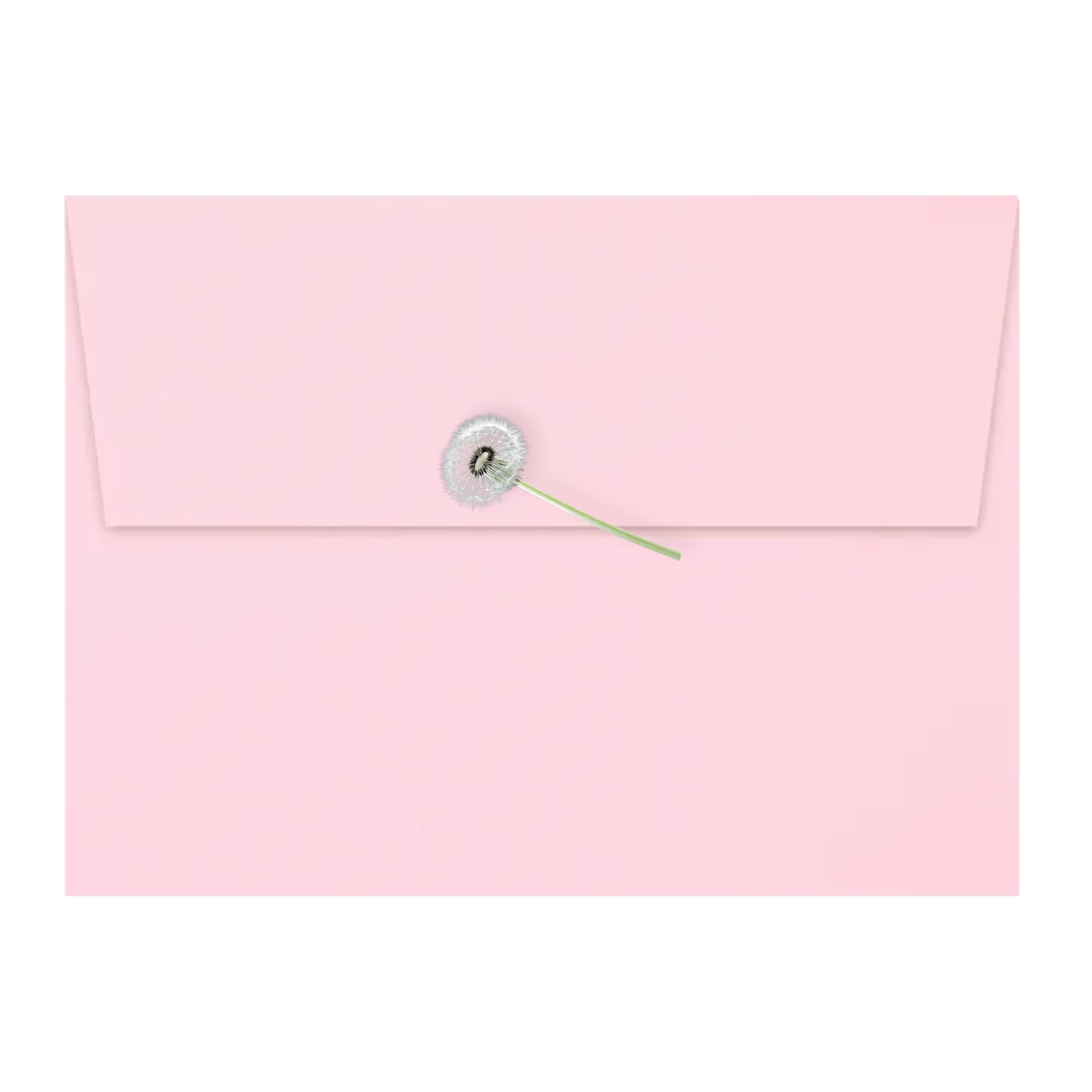 April 25 Postcard (One Time Purchase)