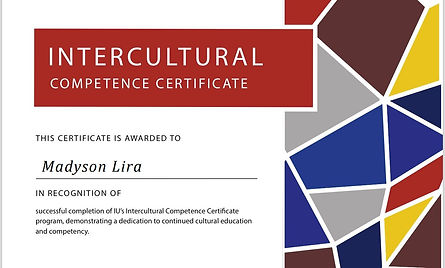 intercultural competence.jpg