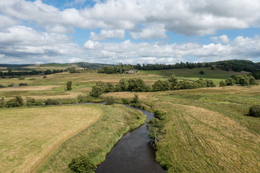 Cragg-25.jpg