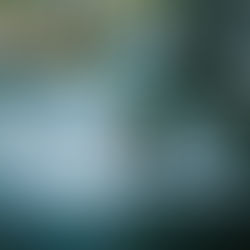 Toon-Te-Ching: Verse 8