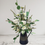 Thumbnail: Luxury Jug Arrangement of Blooms from