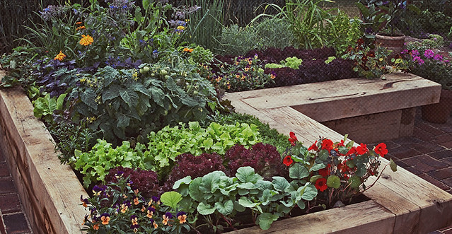 garden.jpg