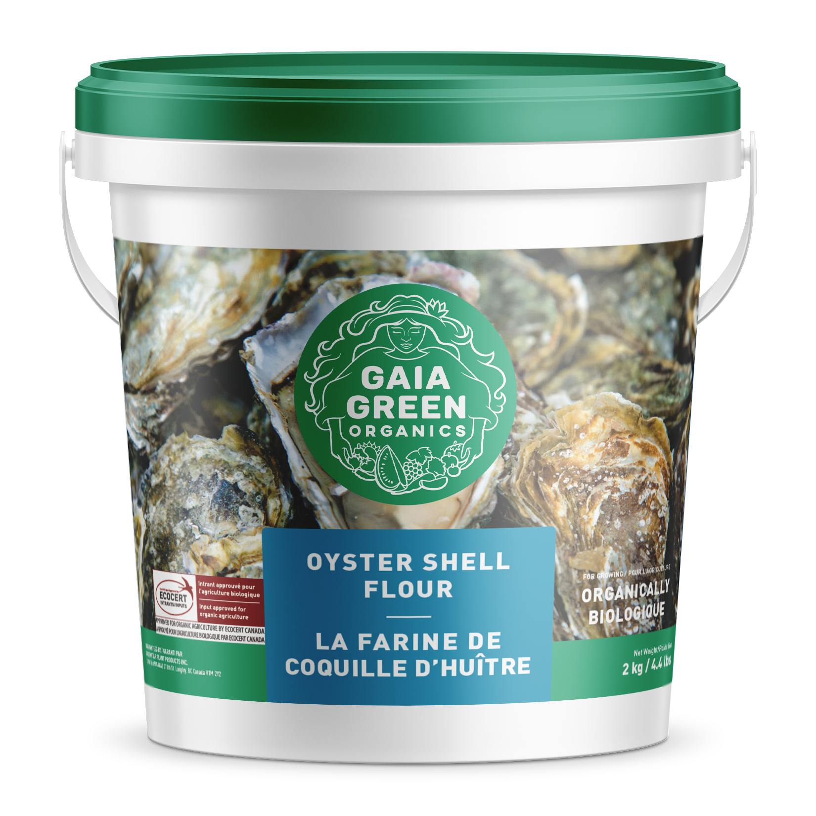 La Farine De Coquille