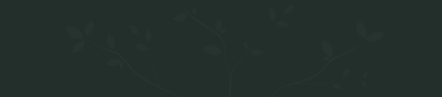 Wood About Us BG.png