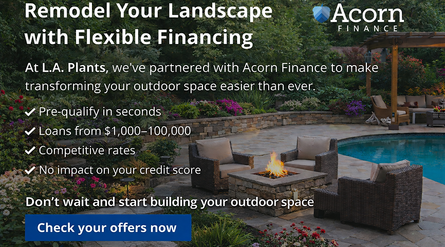 ChatGPT Image Feb 24, 2026, 11_57_39 AM.png