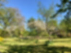 PARC AU PRINTEMPS