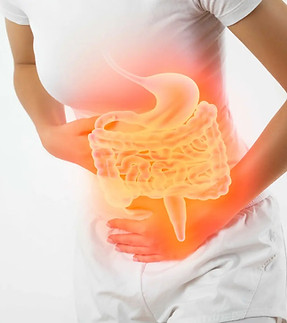 IBS.jpg