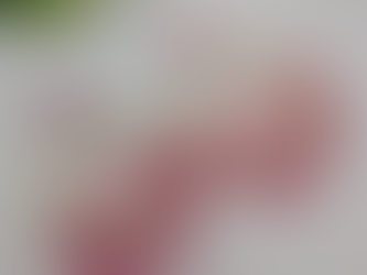 The Exquisite Designs of Earrings at Fusion Vogue