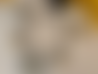 Festive Hues Oxidised Silver Jewellery Set