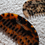 Thumbnail: Tortoiseshell Comb (Arch)