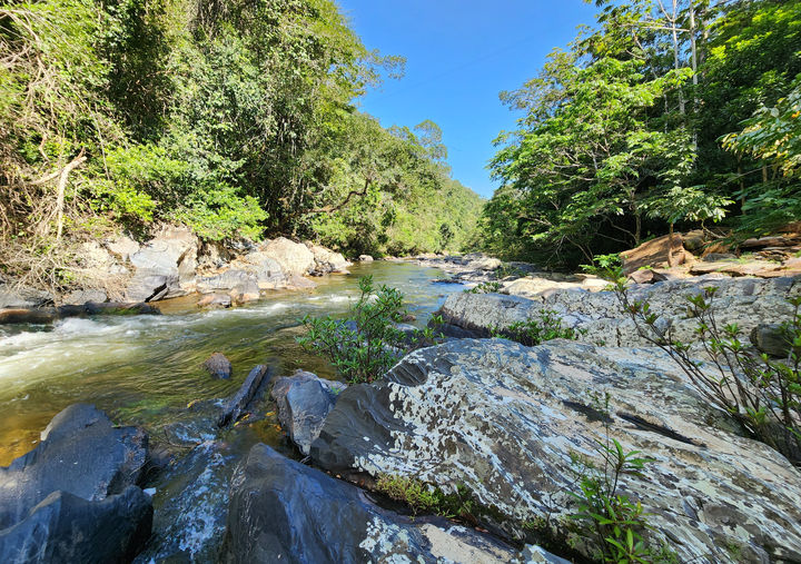 A forest river cascading over rocks, framed by lush green foliage and a bright sky