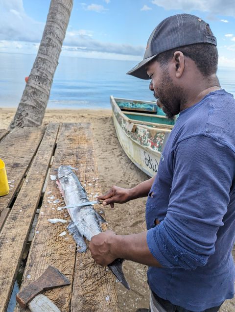 Village cleaning fish in Hopkins Village