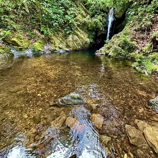 Scenic Ben's Bluff Waterfall on the Cockscomb Basin hike from Hopkins Village Belize