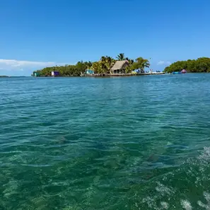 approaching Bread and Butter Island on a boat