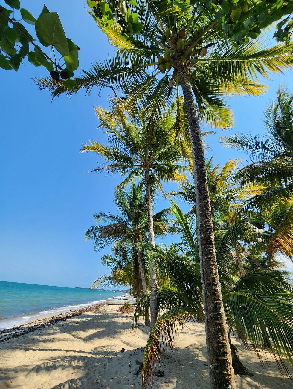 Welcome to Hopkins Belize