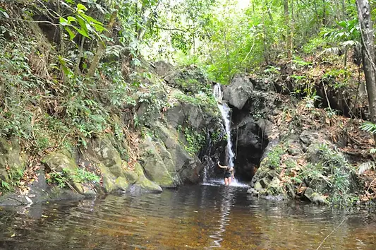 bens-bluff-trail-rainforest-hike-belize.webp