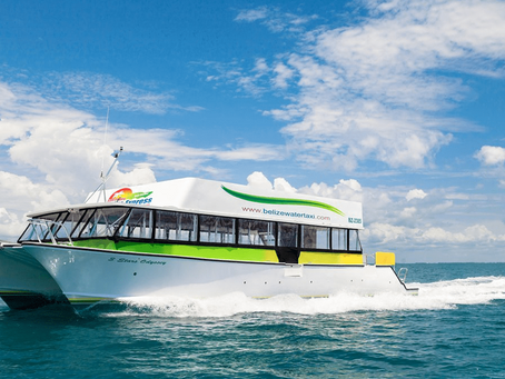 From Sea to Serenity: How to Take a Shuttle from Belize Water Taxi to Hopkins Village 