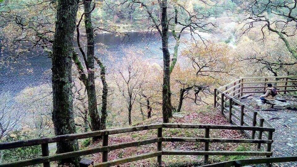 Meditation in a national park. Trees, river
