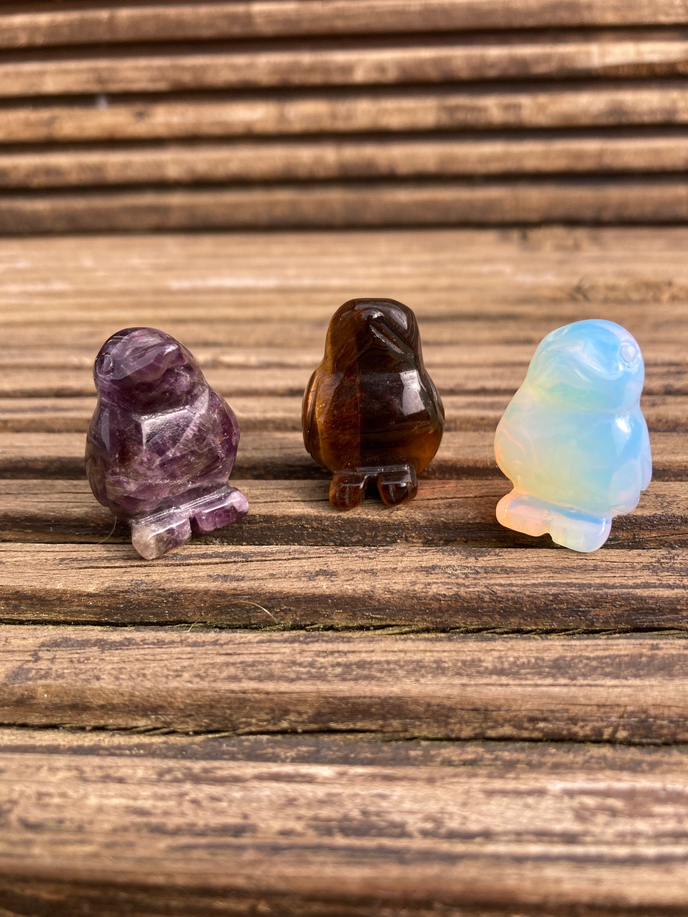 Opalite Baby Pocket Penguin 