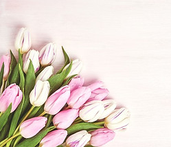 tsvety-buket-tiulpany-rozovye-pink-flowers-beautiful-roman-7.jpg