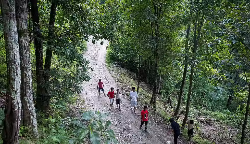 Hulagway sa mga bata nga naglakaw ug nagdula og bola sa batoon nga dalan nga gilibotan sa mga kahoy sa Nepal.