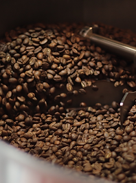 Untitled design (2).png