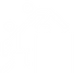noun-coaching-66723-FFFFFF.png