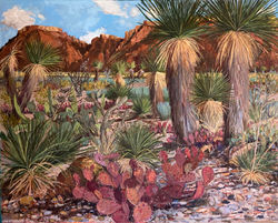 Chihuhuan Quiet, 2018-2019