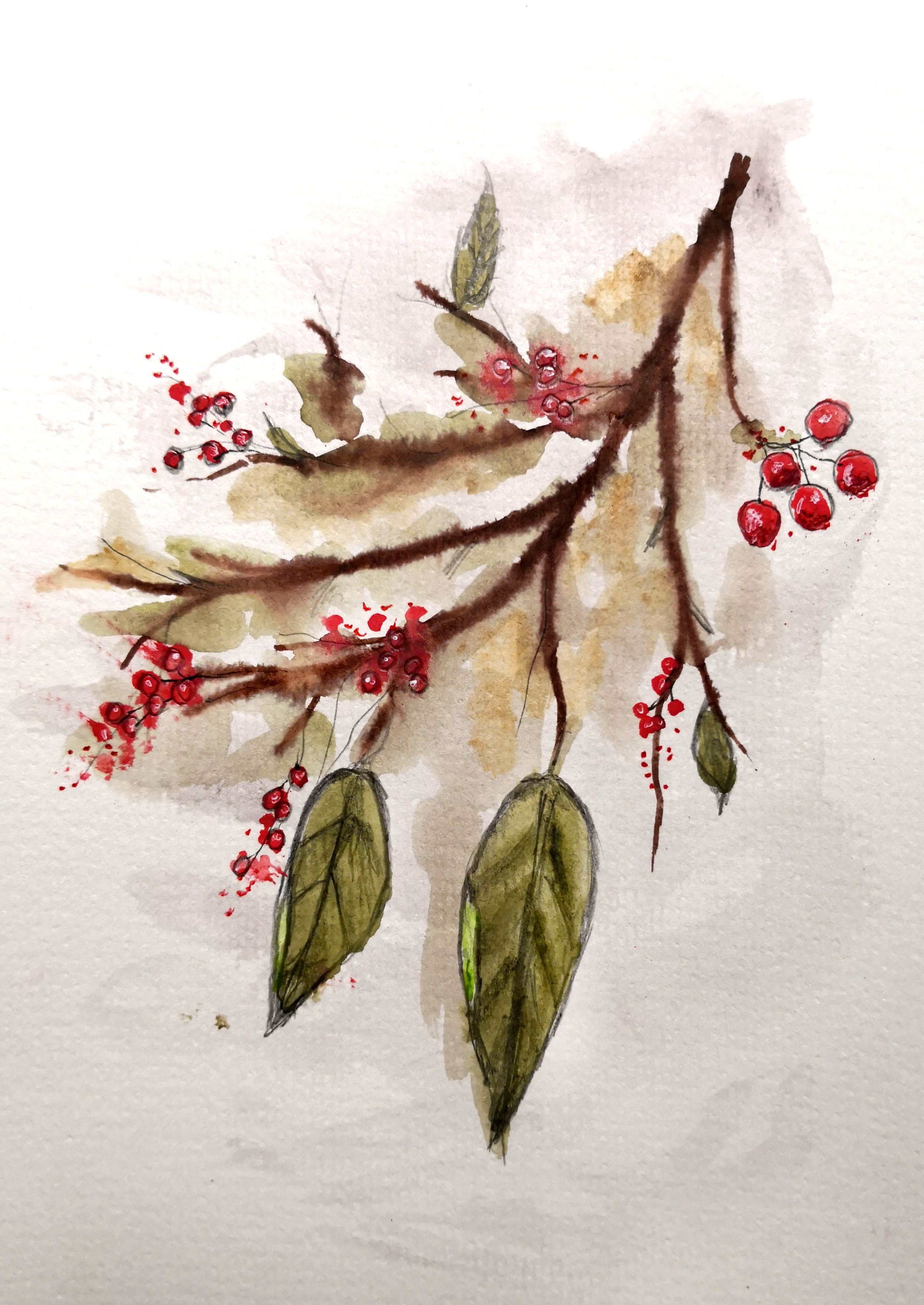 Merry Berries