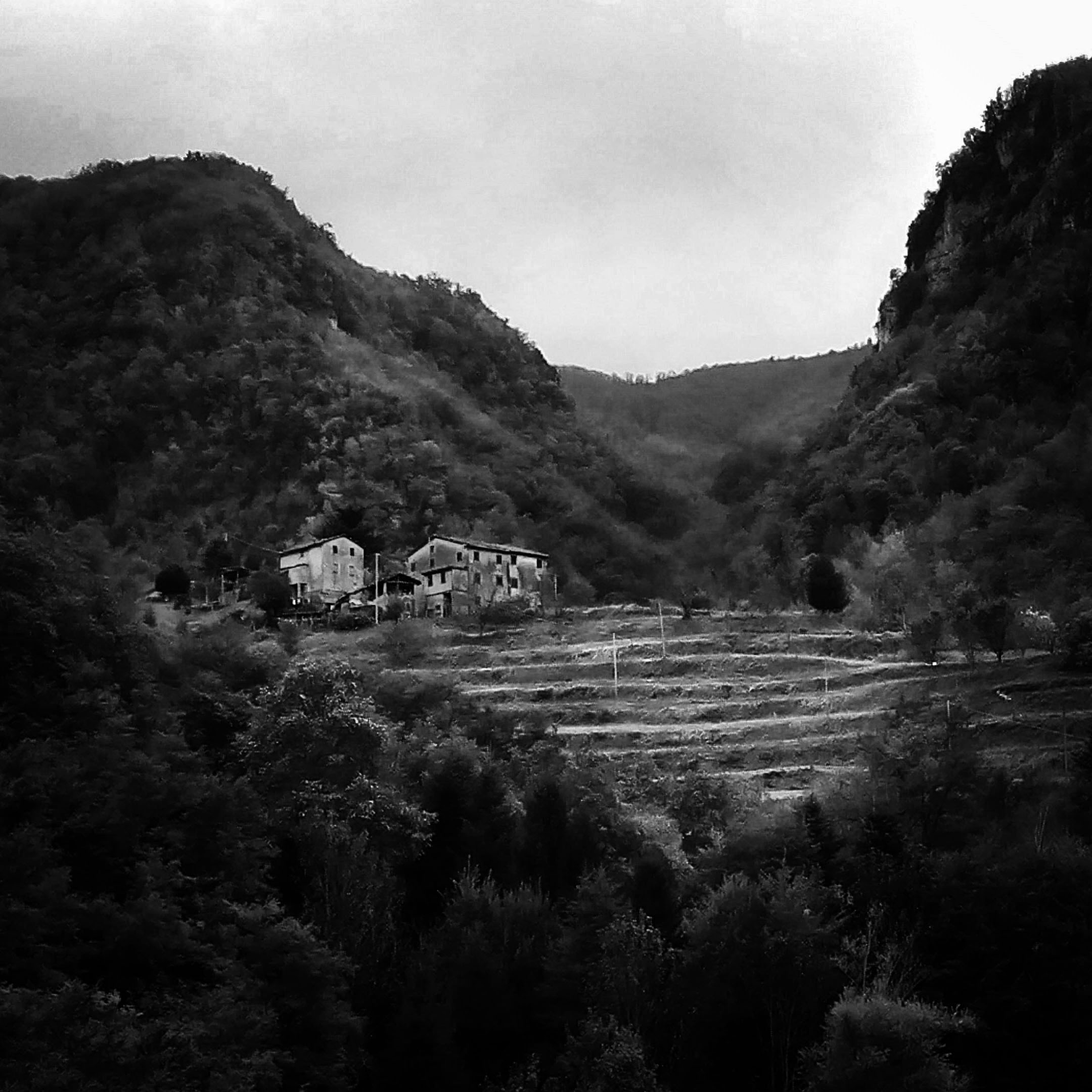 Terraces