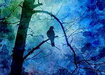 pr Bird on Branch.jpg