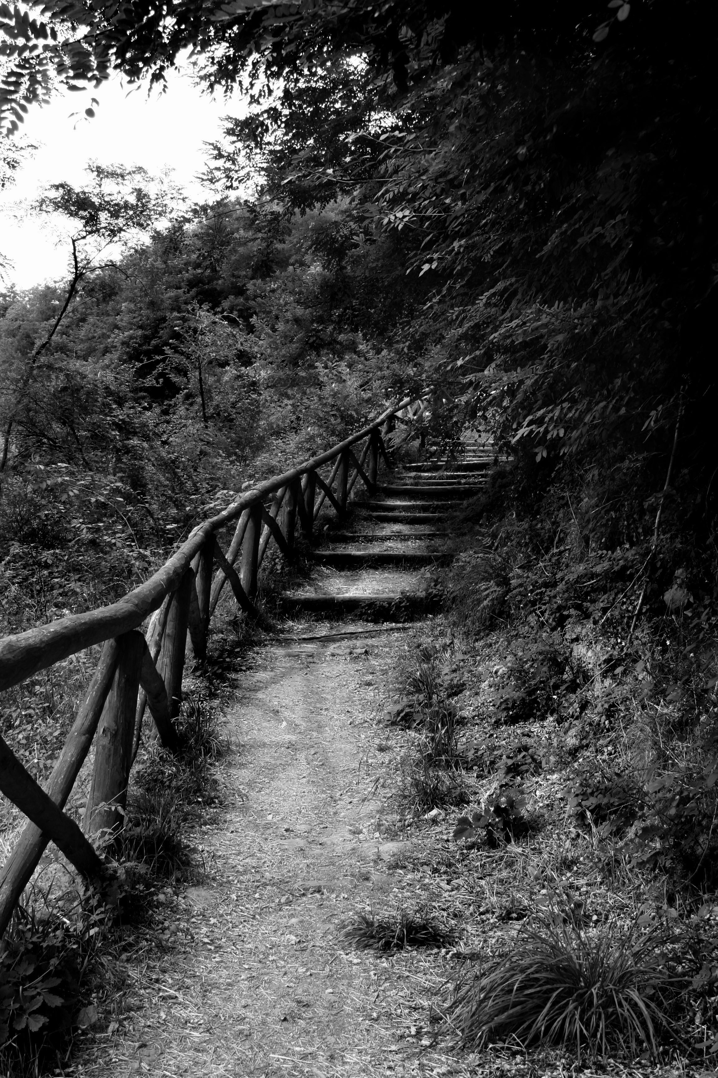 Suspension Bridge