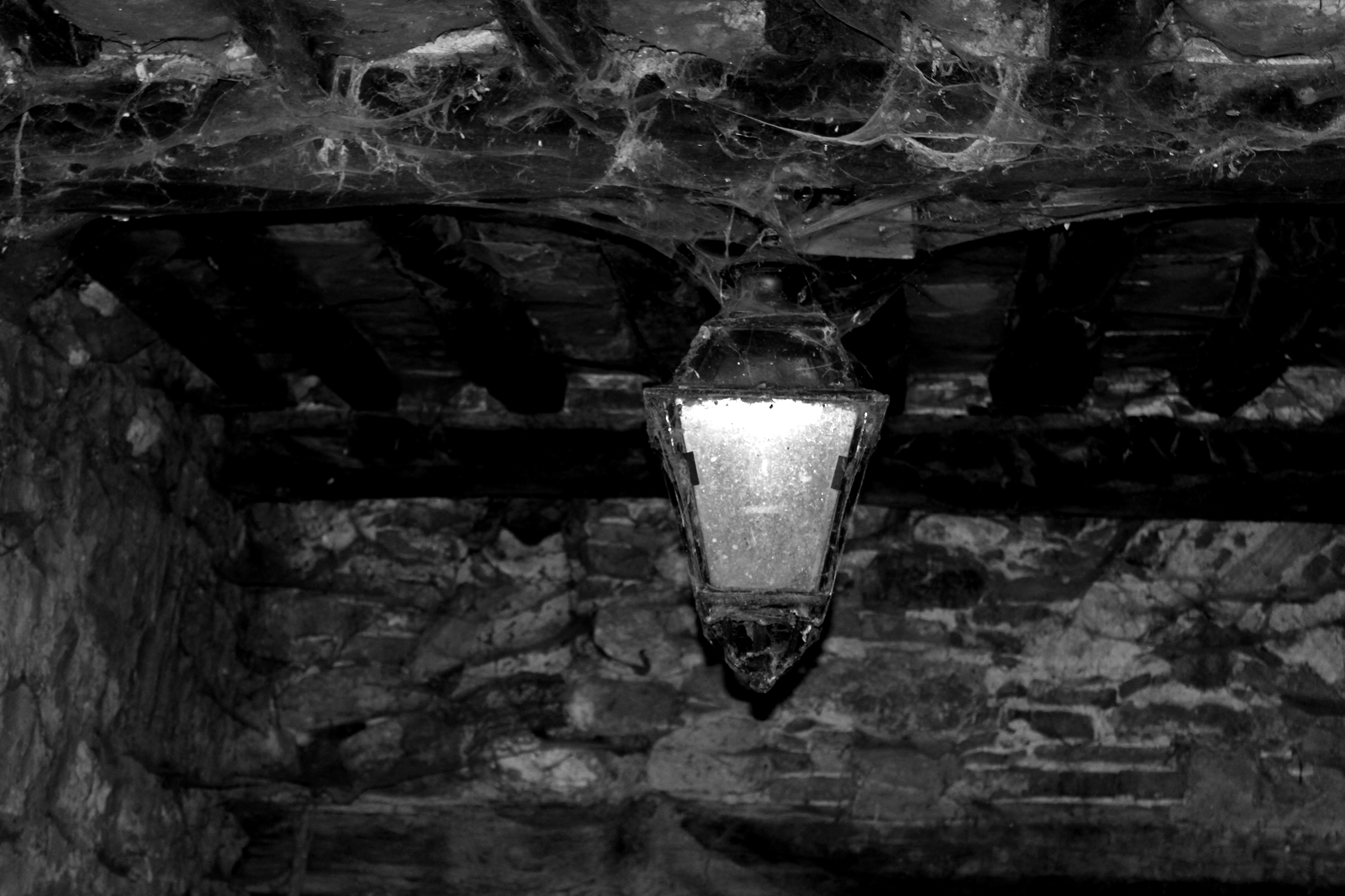 Give Me Light
