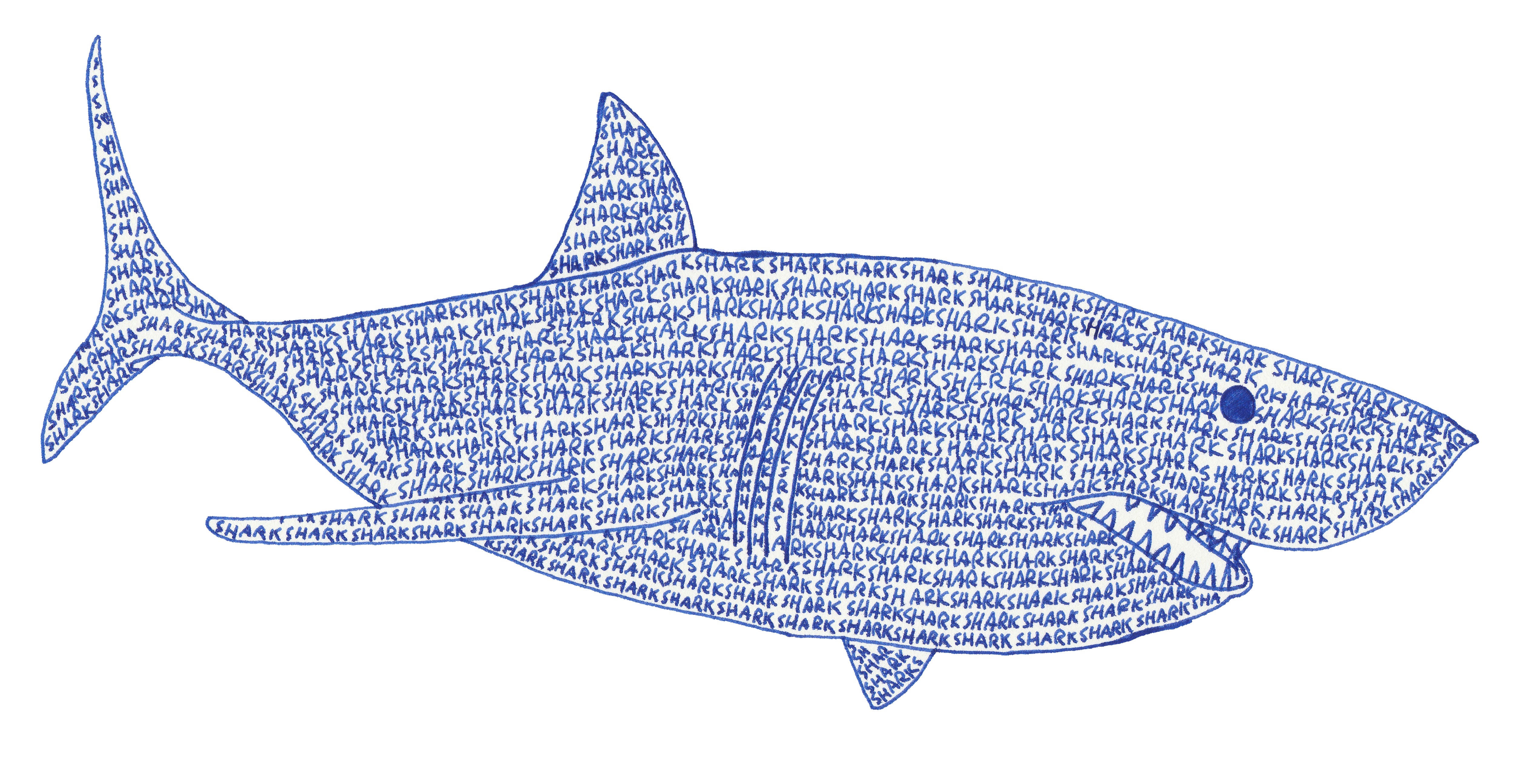 SHARK