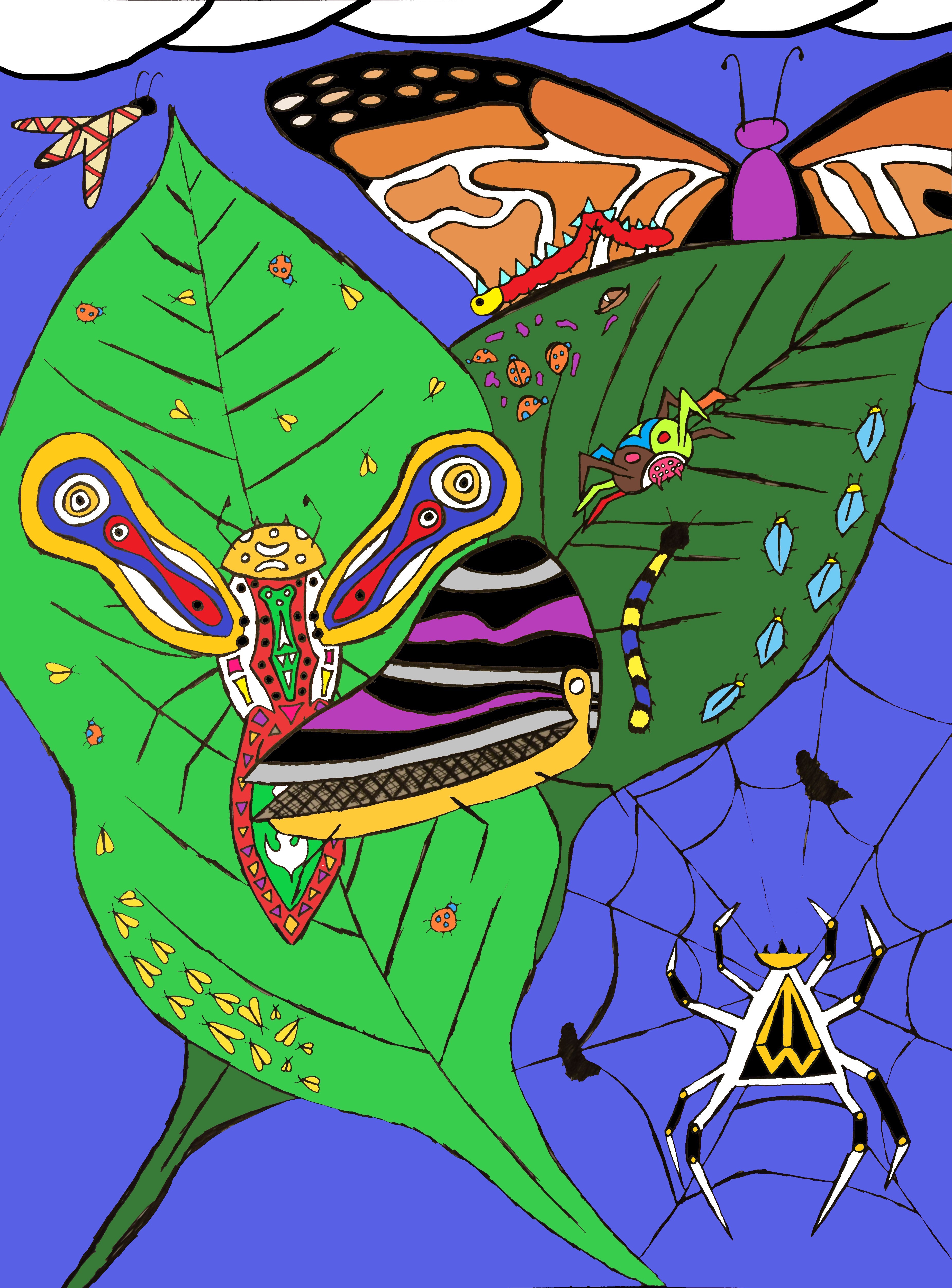 Animation 3